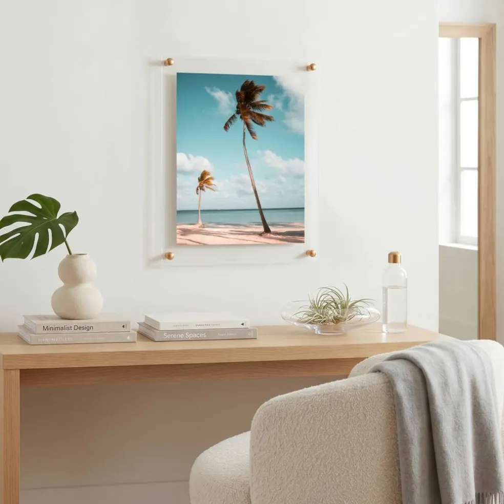 Cool Modern Frames Clear Acrylic Float Frame with Gold Hardware
