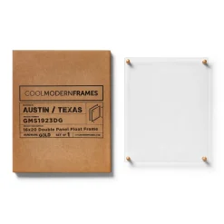 Cool Modern Frames Clear Acrylic Float Frame with Gold Hardware