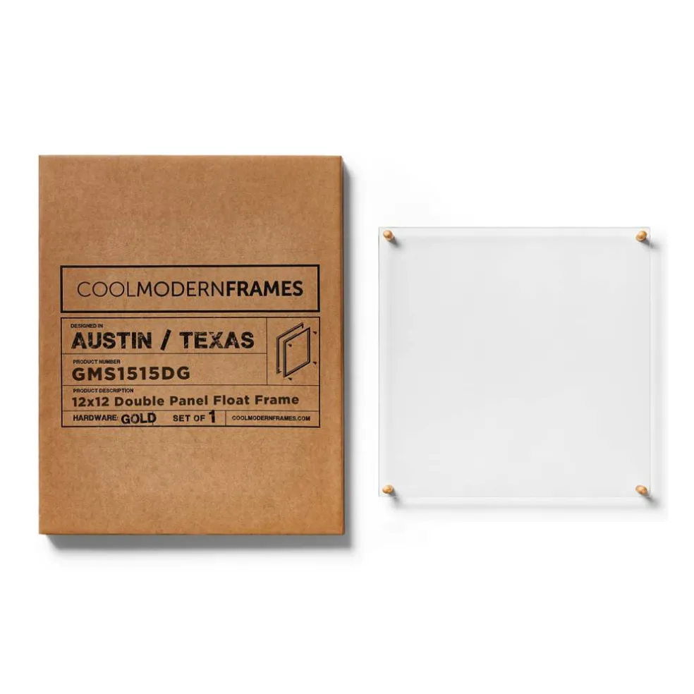 Cool Modern Frames Clear Acrylic Float Frame with Gold Hardware