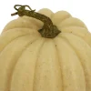 7.5" Coral Decorative Pumpkin by Ashland®