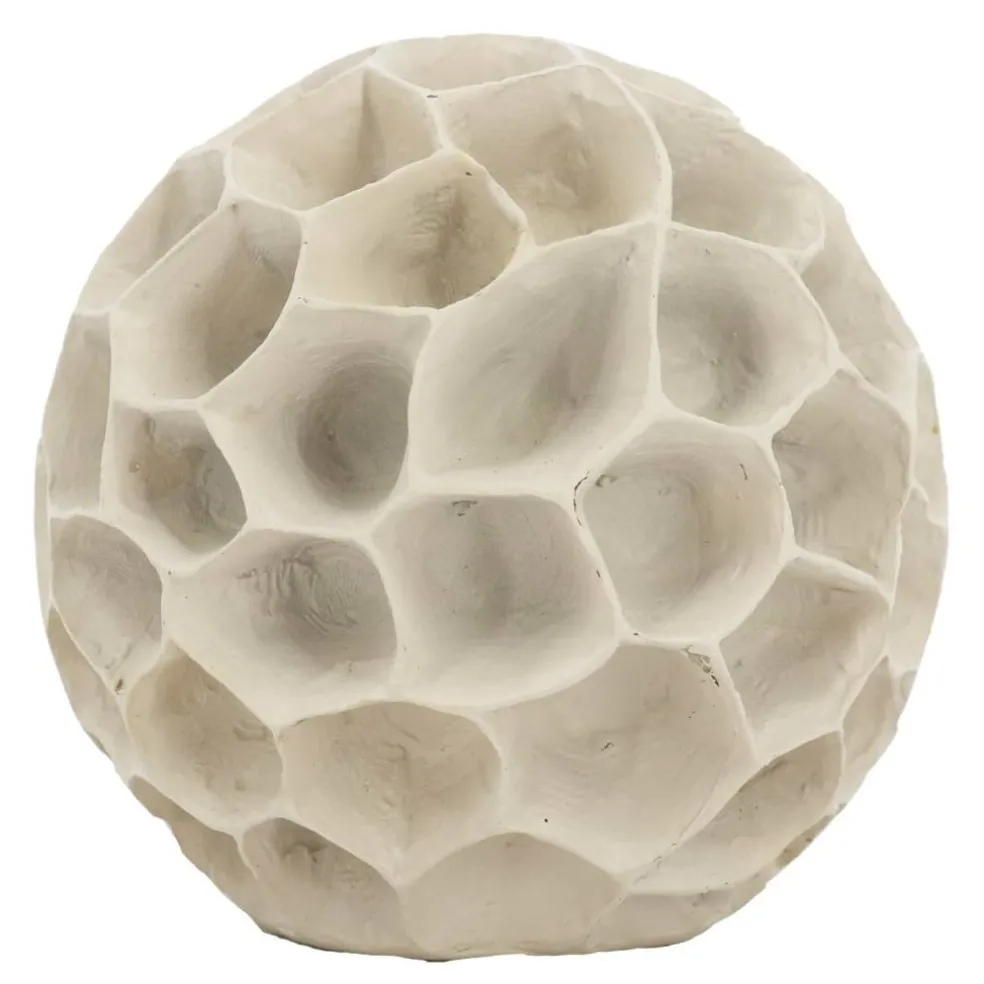 Coral Tabletop Décor by Ashland®