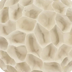 Coral Tabletop Décor by Ashland®