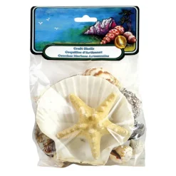 Craft Shells