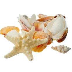 Craft Shells