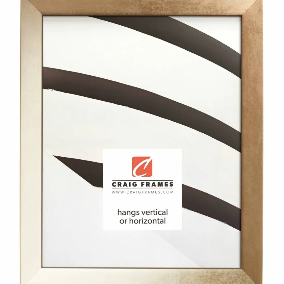 Craig Frames Alloy Aged Gold Picture Frame