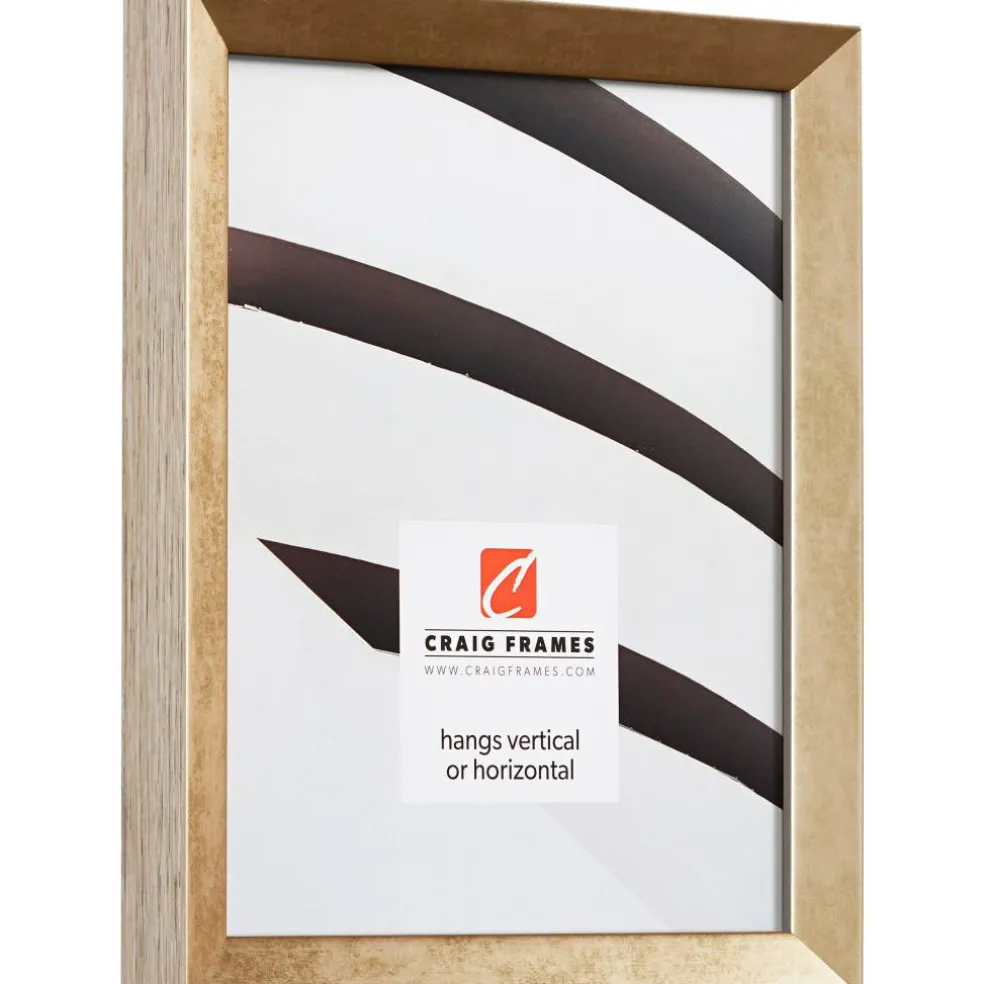Craig Frames Alloy Aged Gold Picture Frame