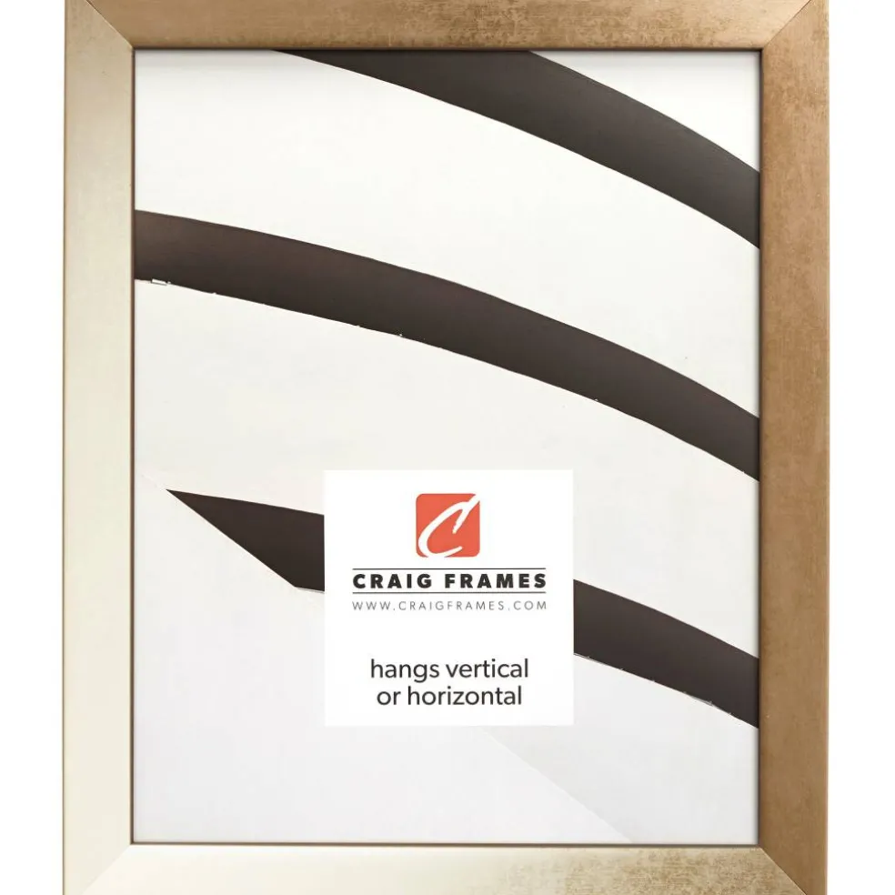 Craig Frames Alloy Aged Gold Picture Frame