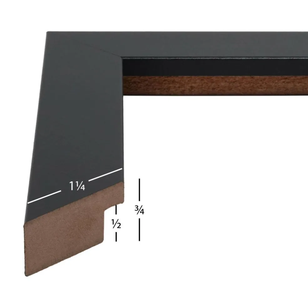 Craig Frames Bauhaus Mystic Satin Black Picture Frame with Mat