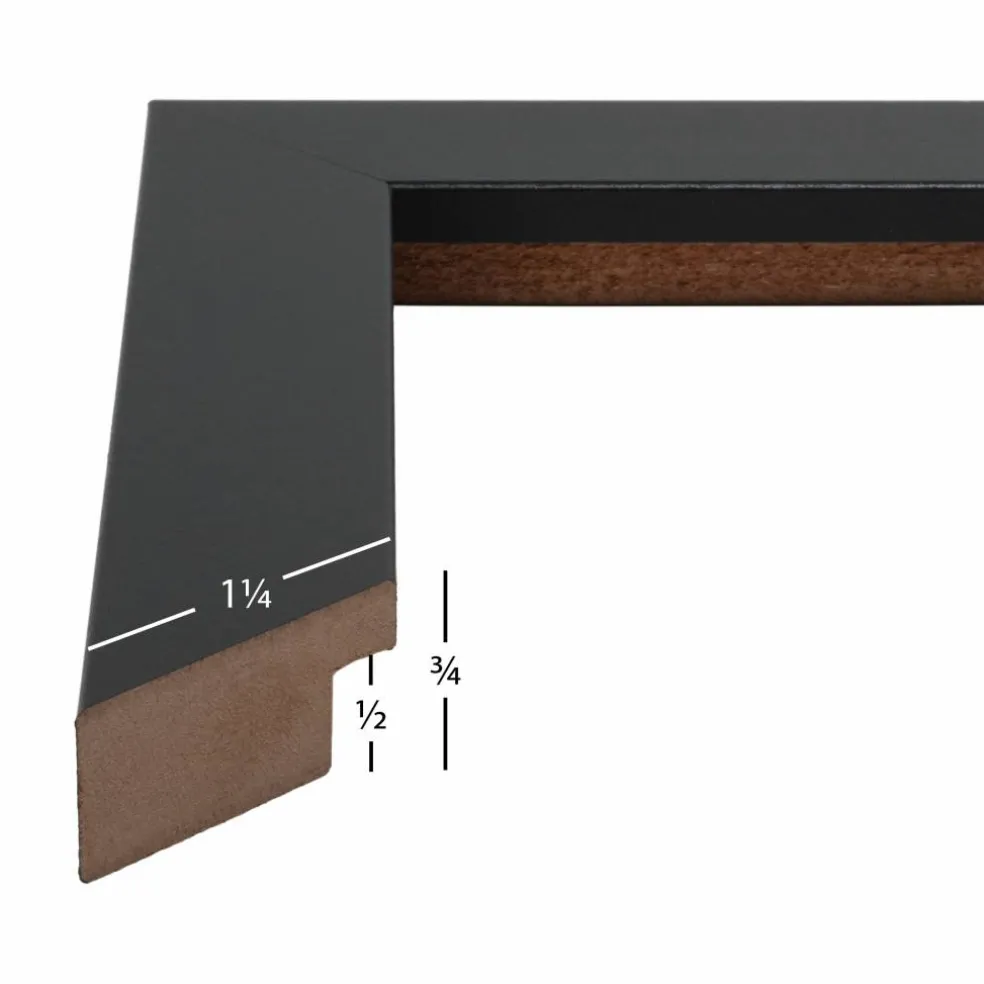 Craig Frames Bauhaus Mystic Satin Black Picture Frame with Mat