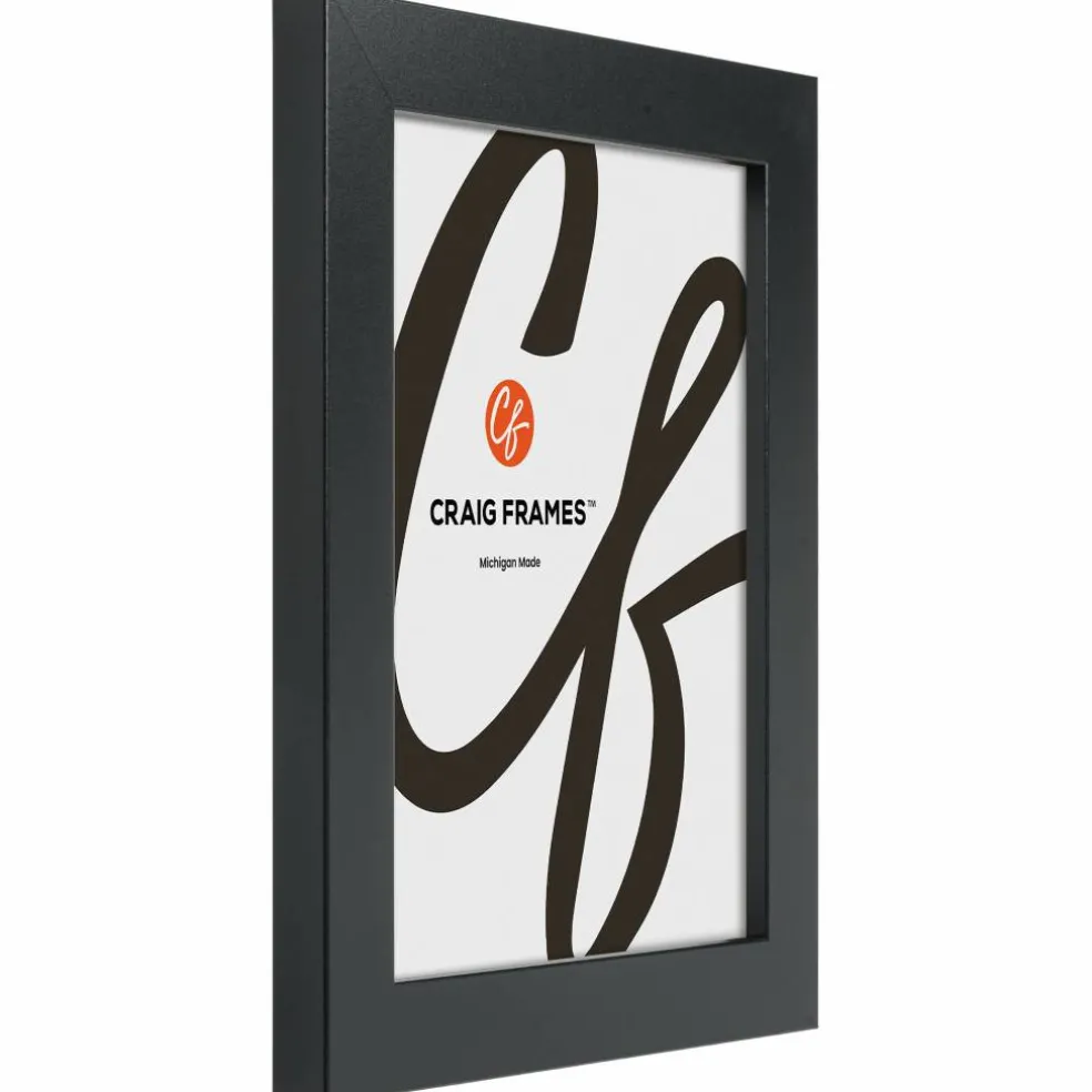 Craig Frames Bauhaus Mystic Satin Black Picture Frame