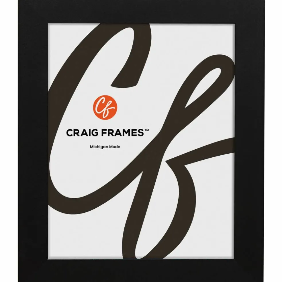Craig Frames Bauhaus Mystic Satin Black Picture Frame