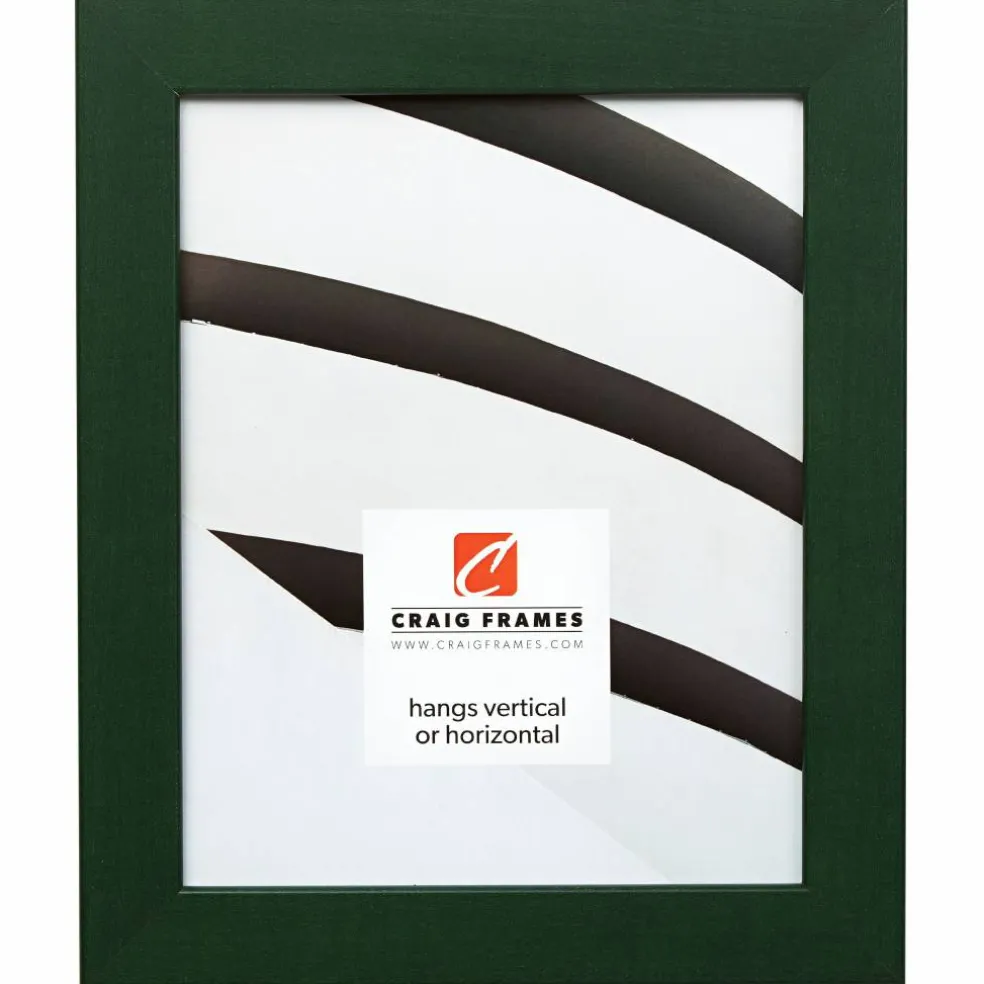 Craig Frames Colori 125 Green Picture Frame