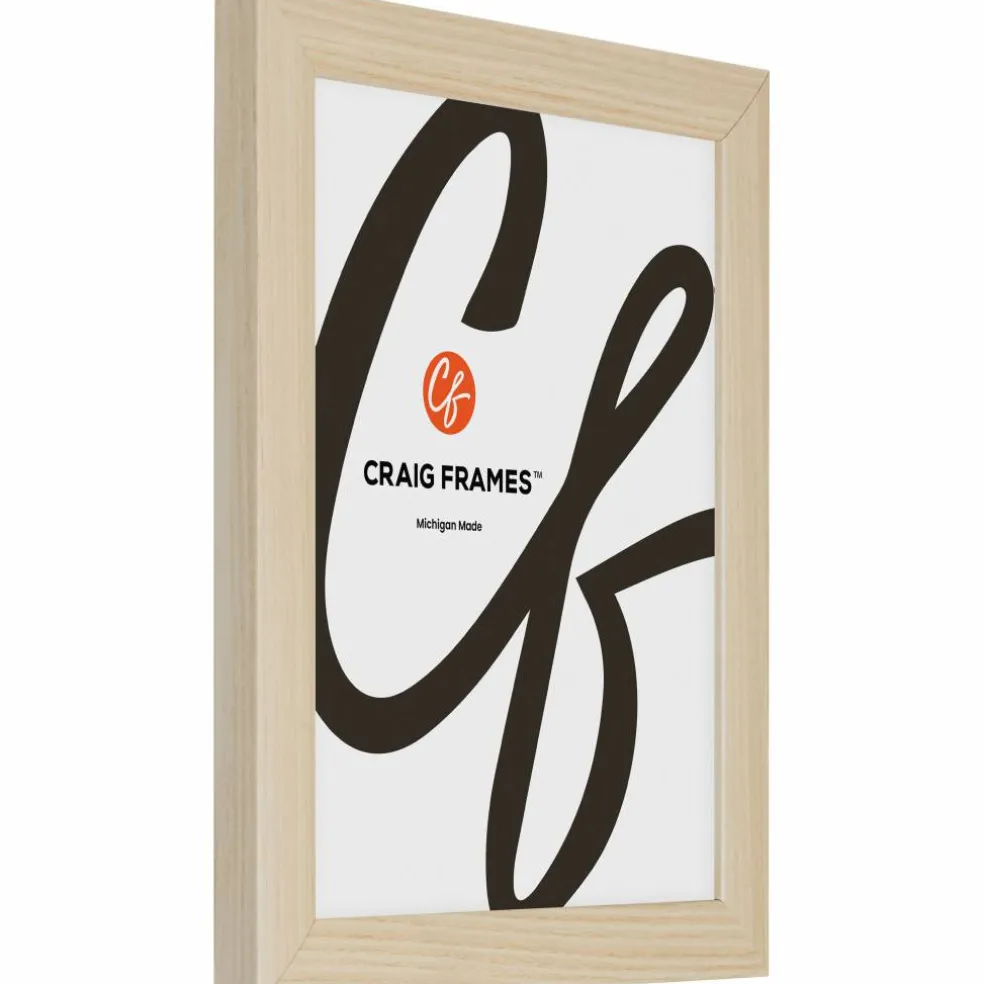 Craig Frames Contemporary Natural Picture Frame