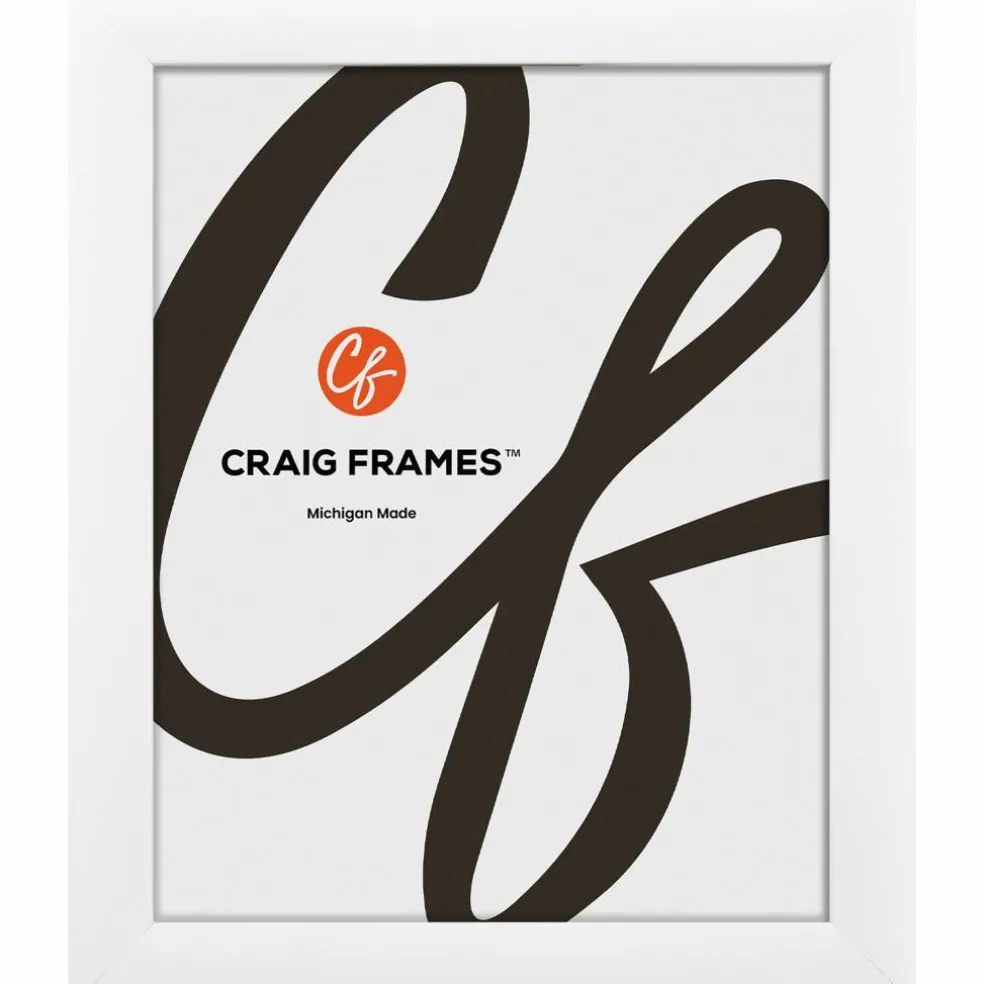 Craig Frames Contemporary White Satin Picture Frame