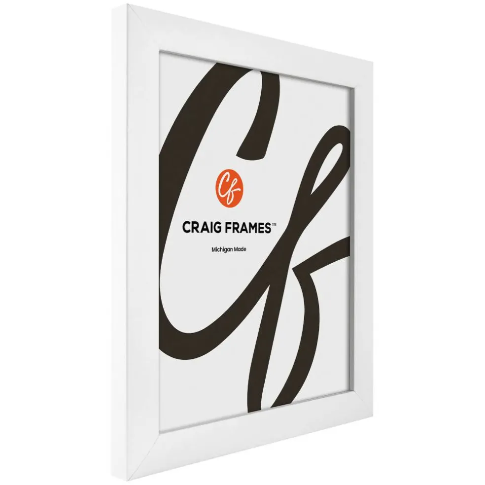 Craig Frames Contemporary White Satin Picture Frame