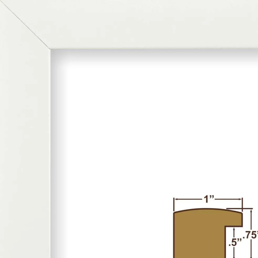 Craig Frames Contemporary White Satin Picture Frame