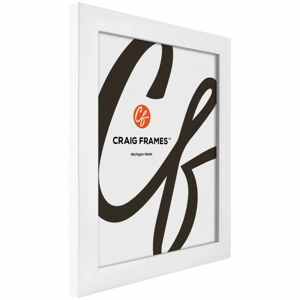 Craig Frames Contemporary White Satin Picture Frame