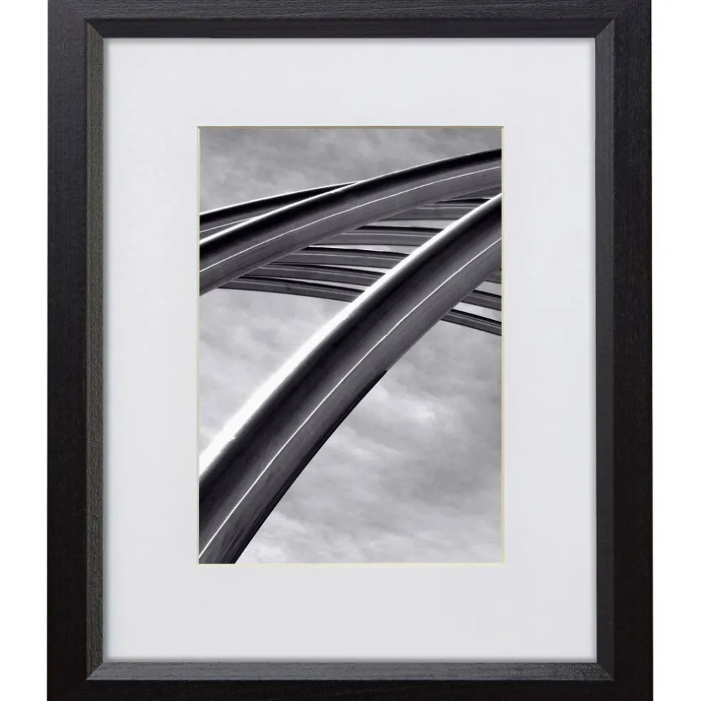 Craig Frames Economy Ebony Hardwood Picture Frame with Mat