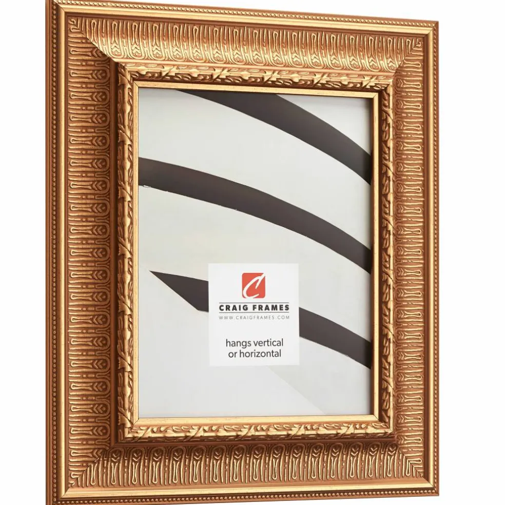 Craig Frames Roman Gold Maximus Picture Frame