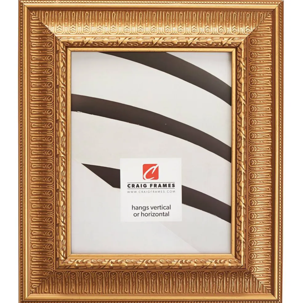 Craig Frames Roman Gold Maximus Picture Frame