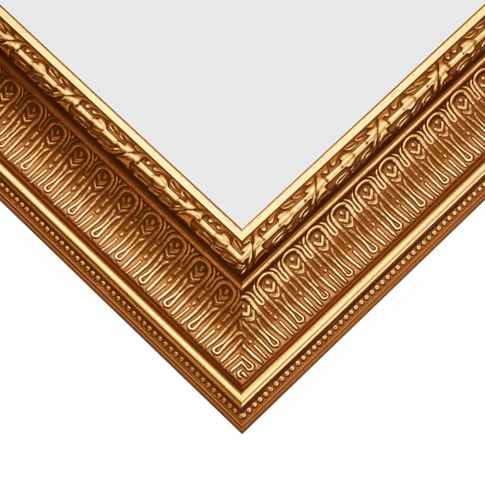 Craig Frames Roman Gold Maximus Picture Frame
