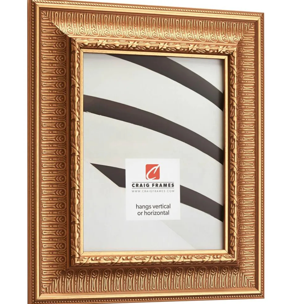 Craig Frames Roman Gold Maximus Picture Frame