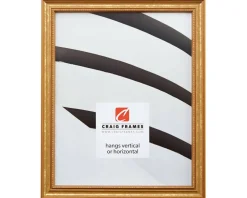 Craig Frames Stratton Aged Gold Picture Frame