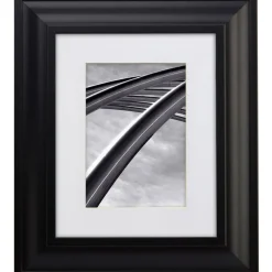 Craig Frames Upscale Satin Black Picture Frame with Mat