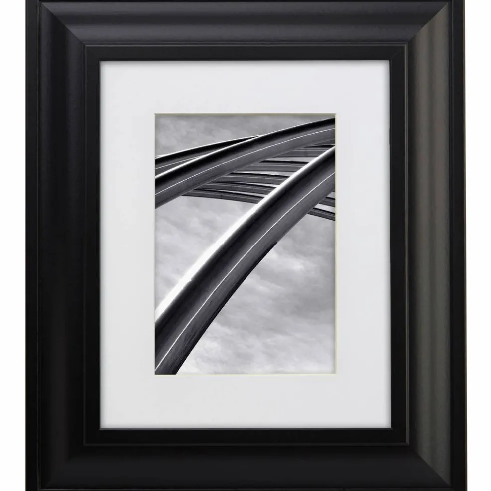 Craig Frames Upscale Satin Black Picture Frame with Mat