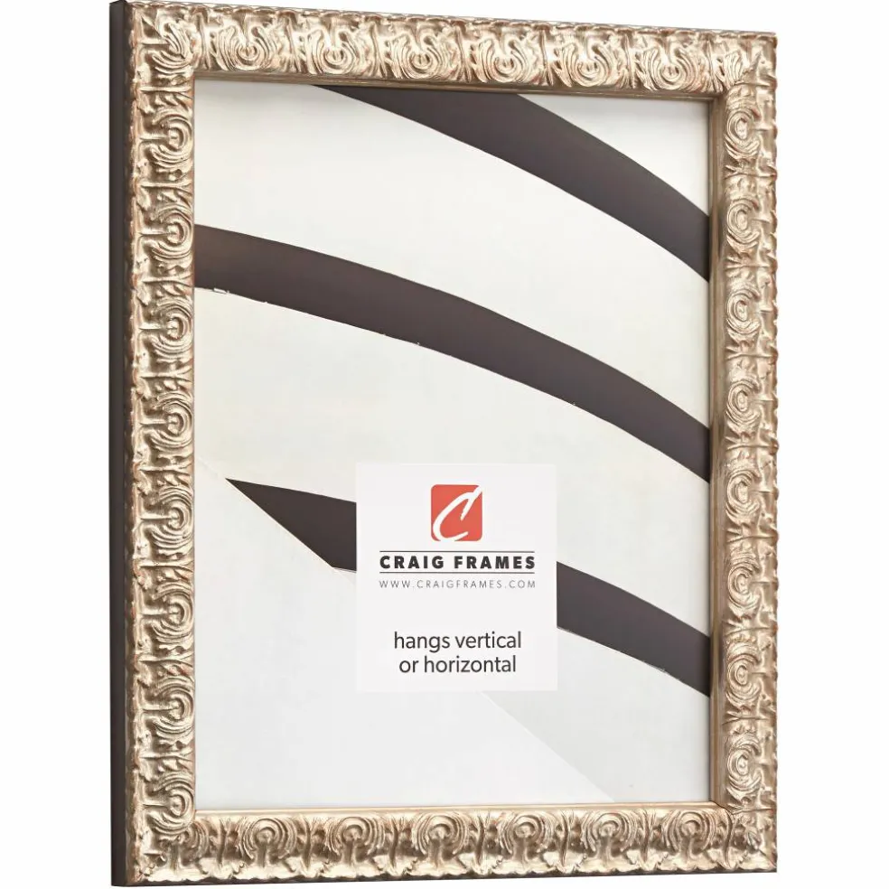 Craig Frames Versailles Ornate Silver Picture Frame