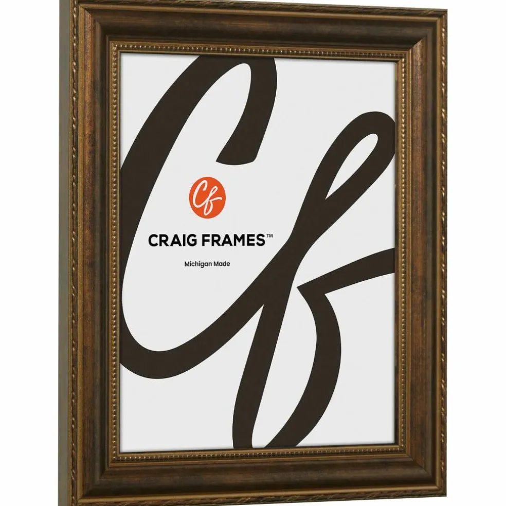 Craig Frames Victoria Bronze Picture Frame