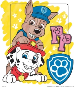 Crayola® Color Wonder™ Paw Patrol® Papers & Markers