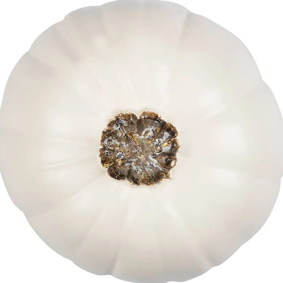 Cream Craft Pumpkin by Ashland®