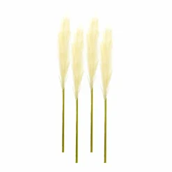 Cream Pampas Spray, 4ct.