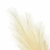 60" Cream Pampas Stem by Ashland®