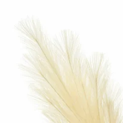 60" Cream Pampas Stem by Ashland®