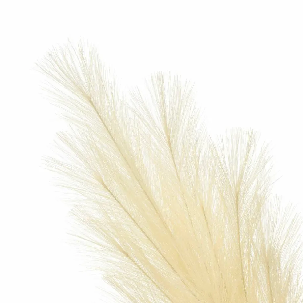60" Cream Pampas Stem by Ashland®