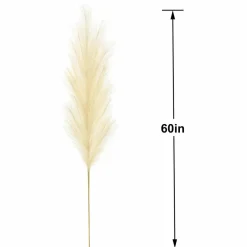 60" Cream Pampas Stem by Ashland®