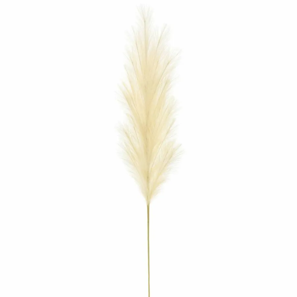 60" Cream Pampas Stem by Ashland®