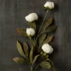 Cream Peony Stem by Ashland®