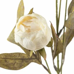 Cream Peony Stem by Ashland®