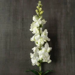 Cream Snapdragon Spray by Ashland®
