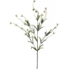 Cream Wild Daisy Spray by Ashland®