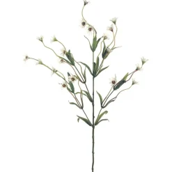 Cream Wild Daisy Spray by Ashland®