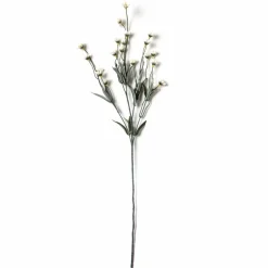 Cream Wild Daisy Spray by Ashland®