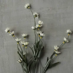 Cream Wild Daisy Spray by Ashland®