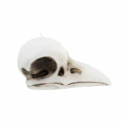 7.75" Crow Skull Unscented Candle by Ashland®