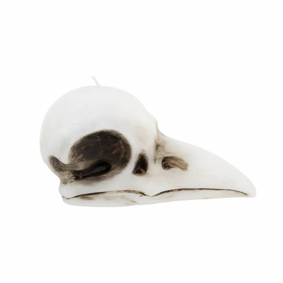 7.75" Crow Skull Unscented Candle by Ashland®