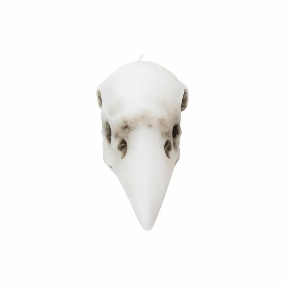 7.75" Crow Skull Unscented Candle by Ashland®