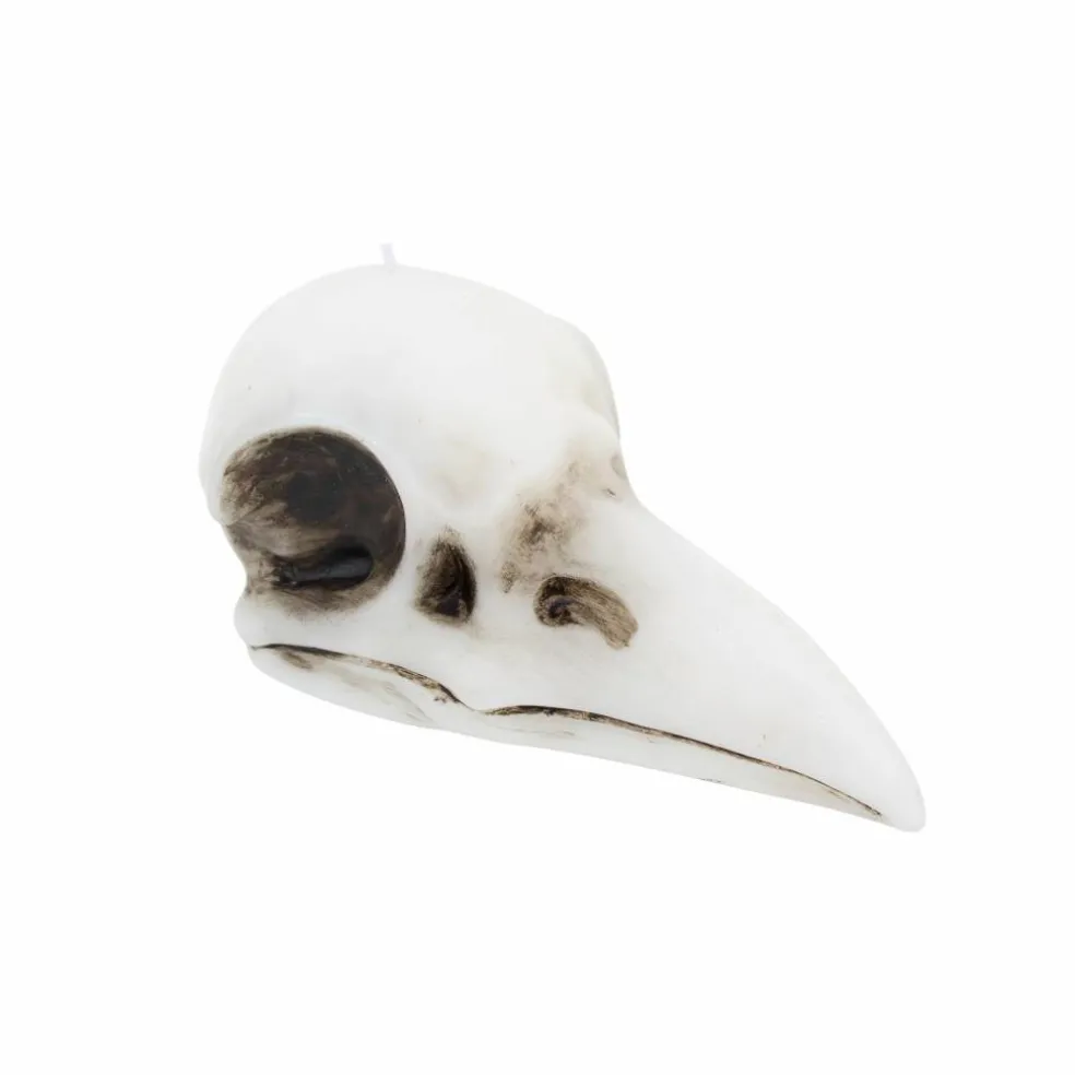 7.75" Crow Skull Unscented Candle by Ashland®